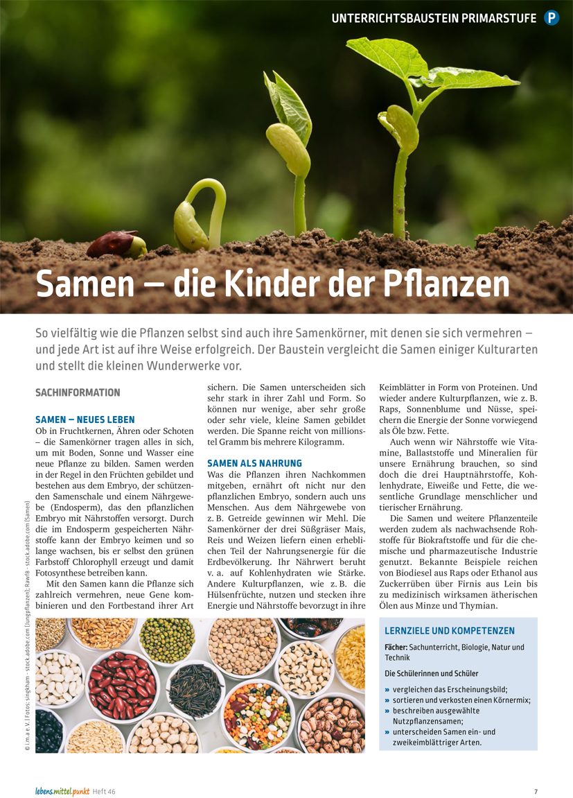Samen - die Kinder der Pflanzen