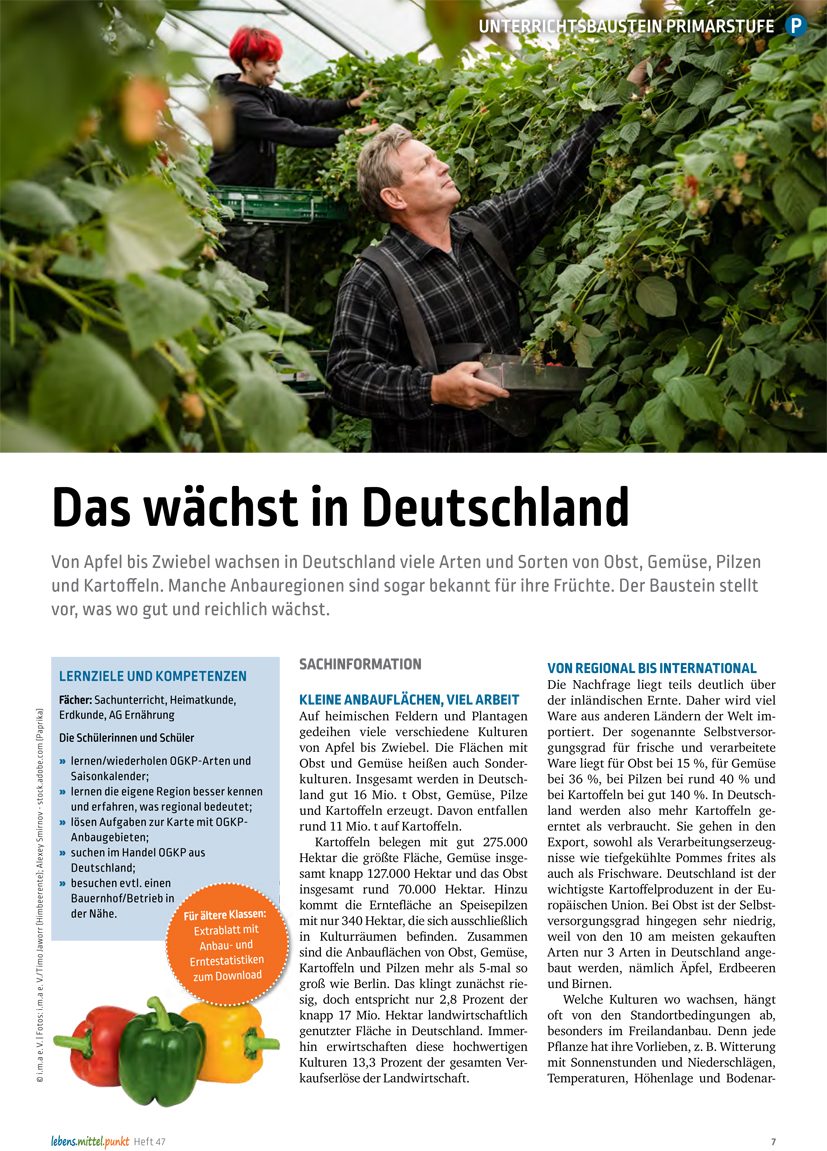 Obst- und Gemüseanbau - Das wächst in Deutschland