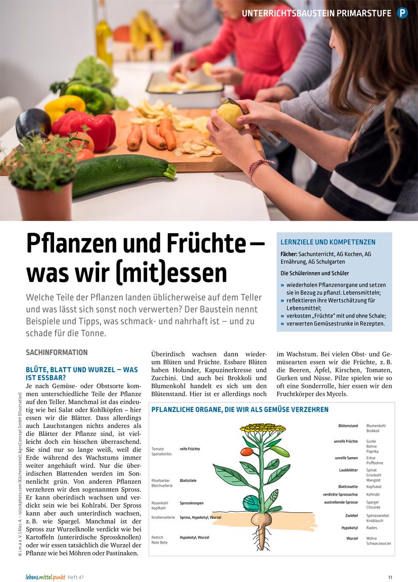 Pflanzen und Früchte - was wir (mit)essen