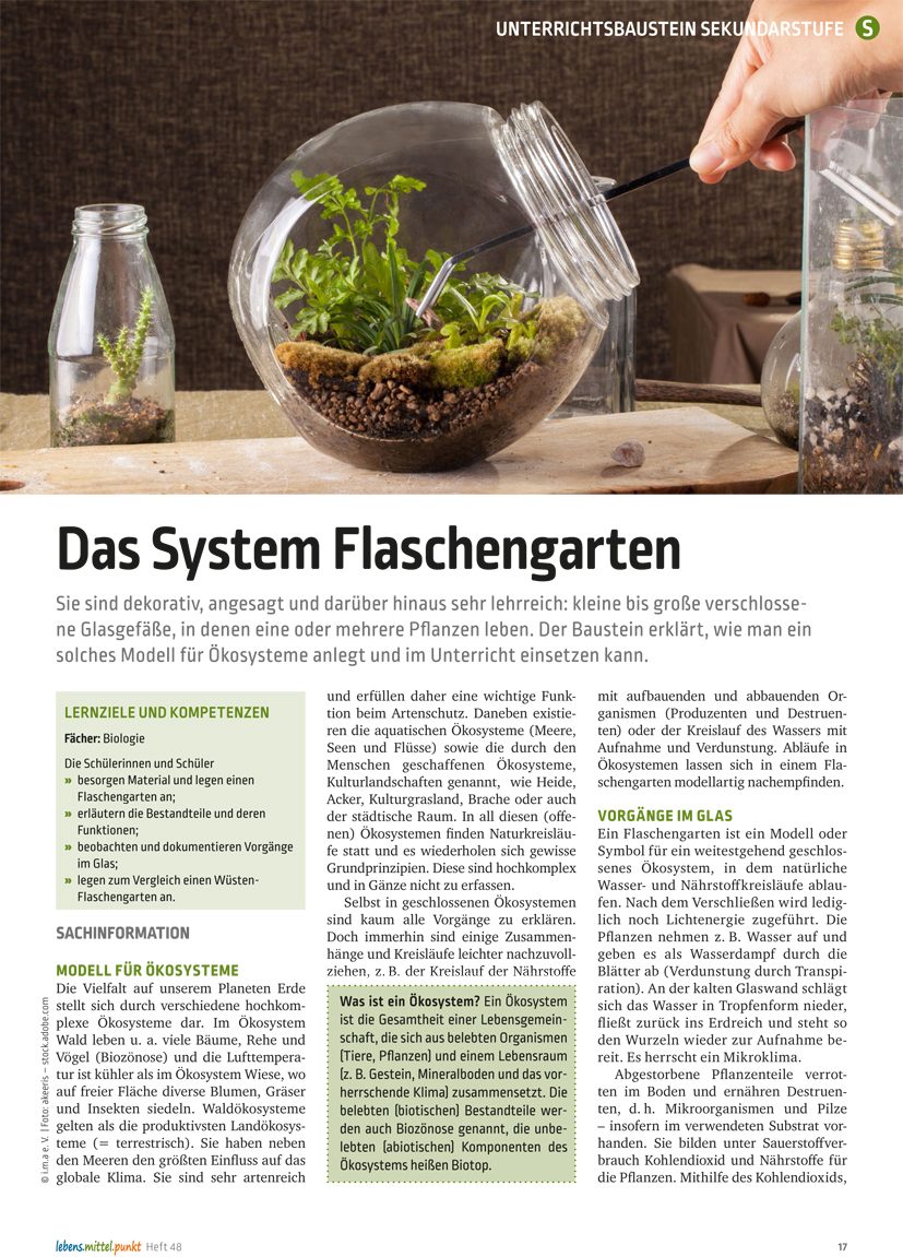 Flaschengarten - Ein Ökosystem im Kleinen