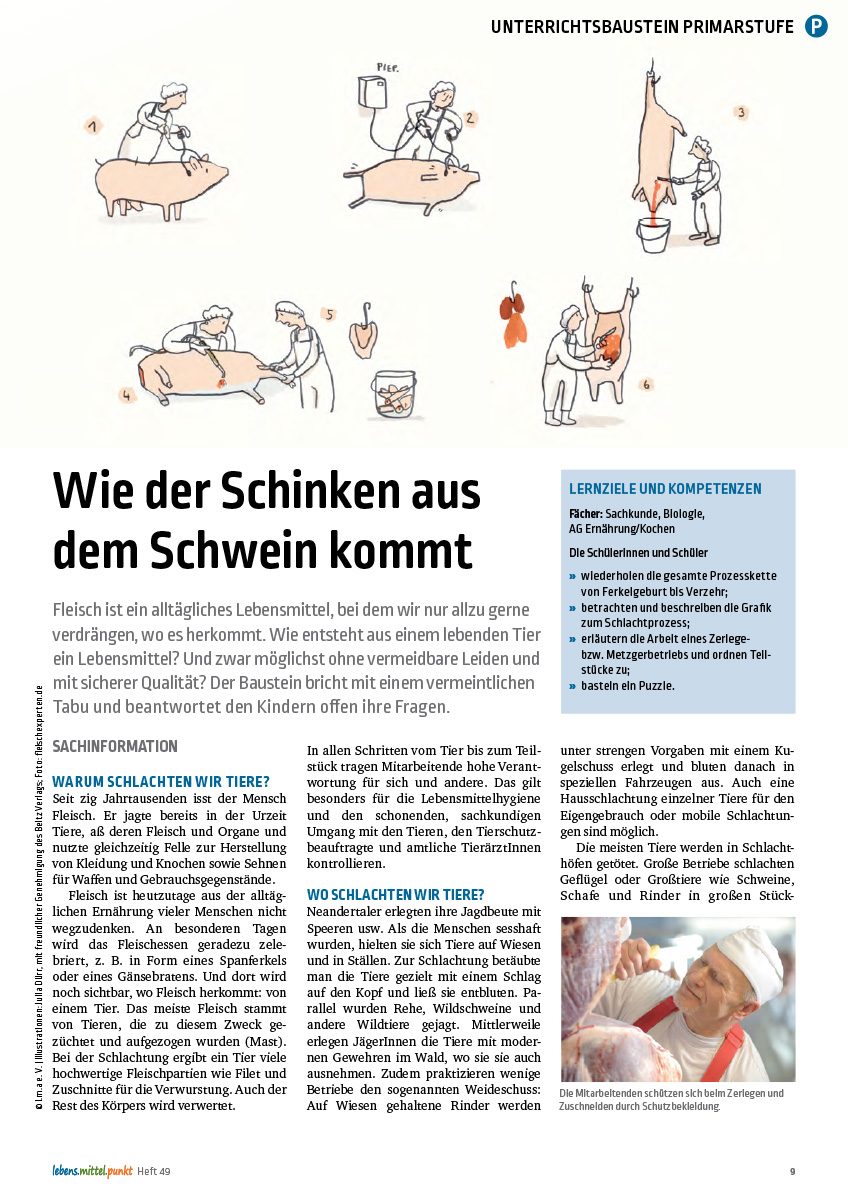 Schlachtung - Vom Schwein zum Schinken