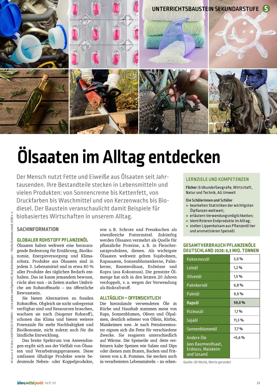 Ölsaaten im Alltag entdecken - Alltägliches aus Ölsaaten