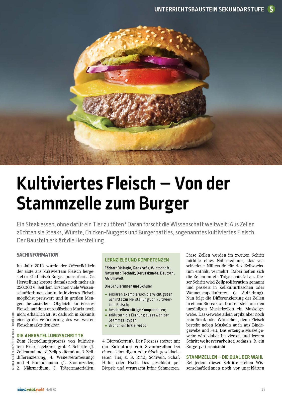 Kultiviertes Fleisch - Von der Stammzelle zum Burger
