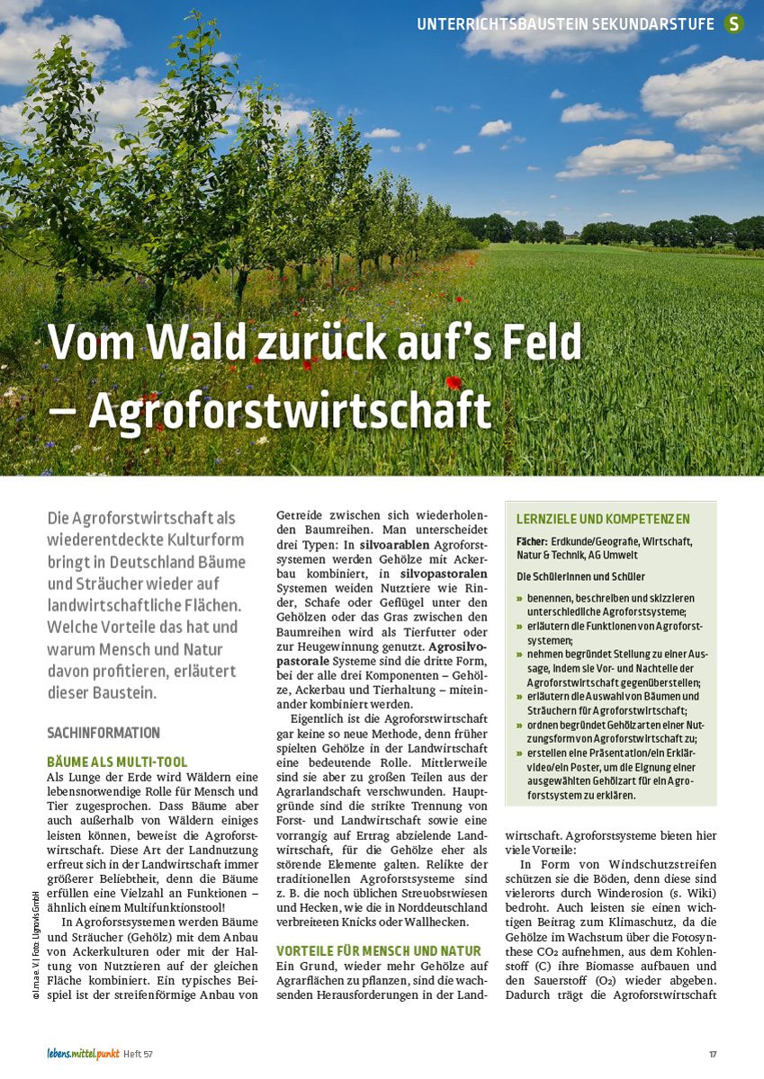 Agroforstwirtschaft - Vom Wald zurück auf’s Feld