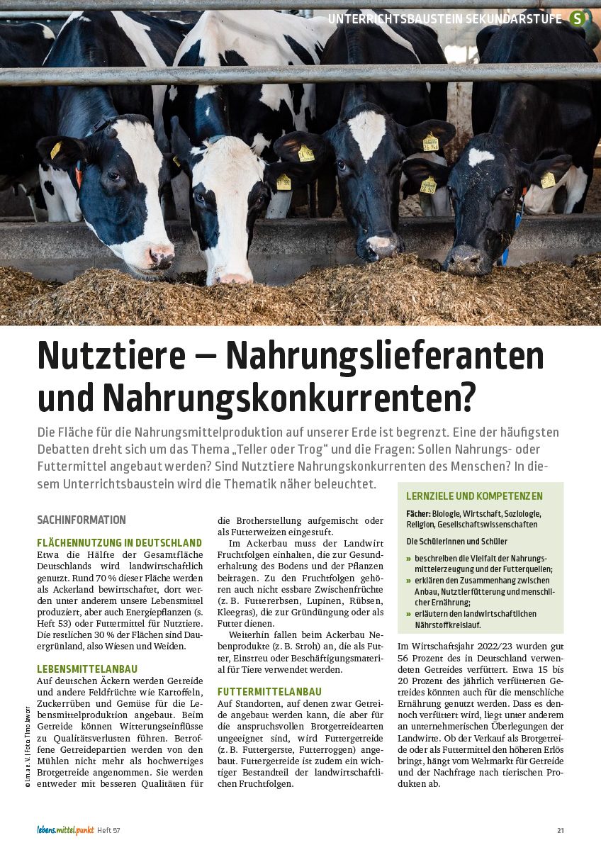 Nutztiere - Nahrungslieferanten und Nahrungskonkurrenzen?