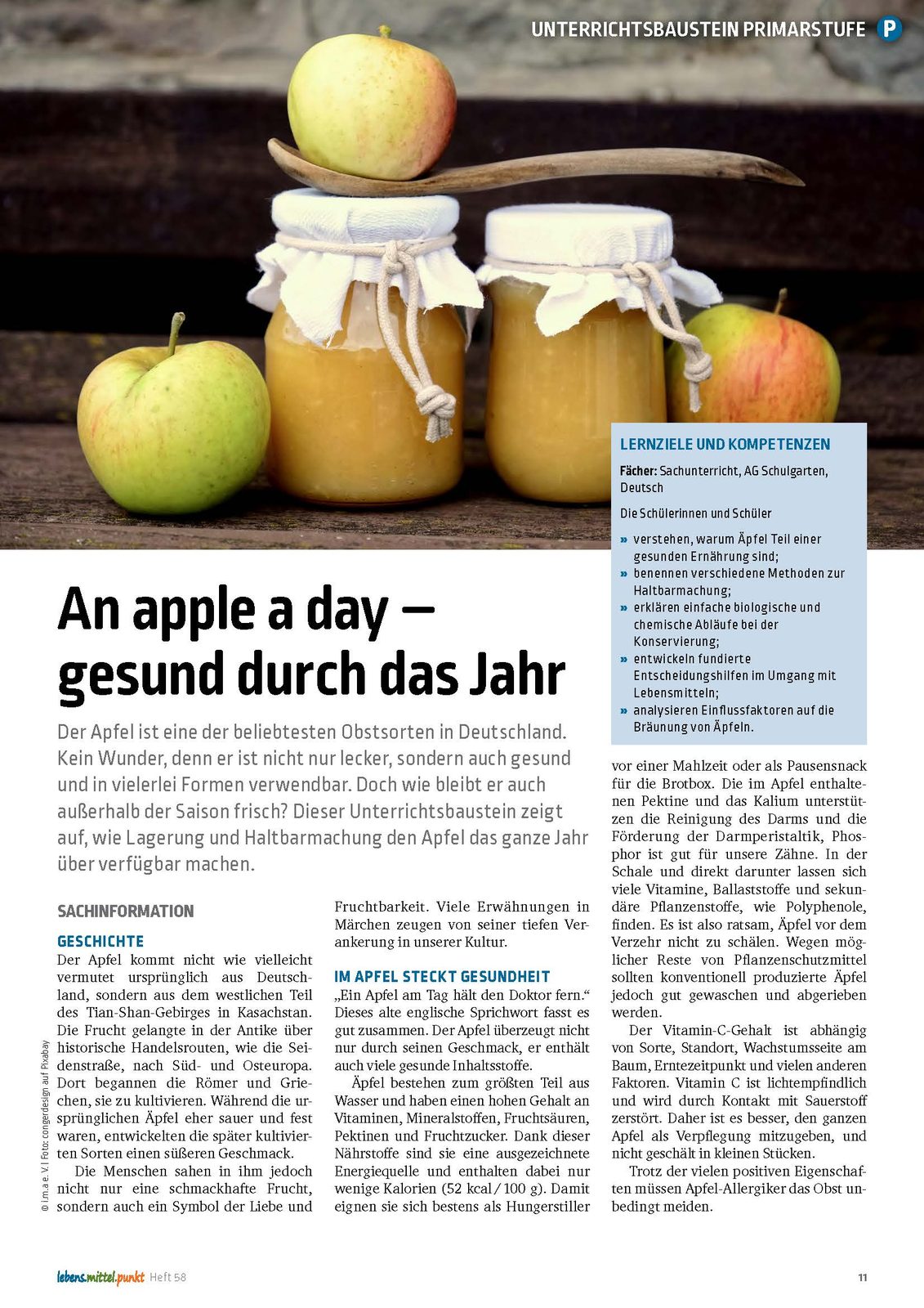 An apple a day - Gesund durch das Jahr