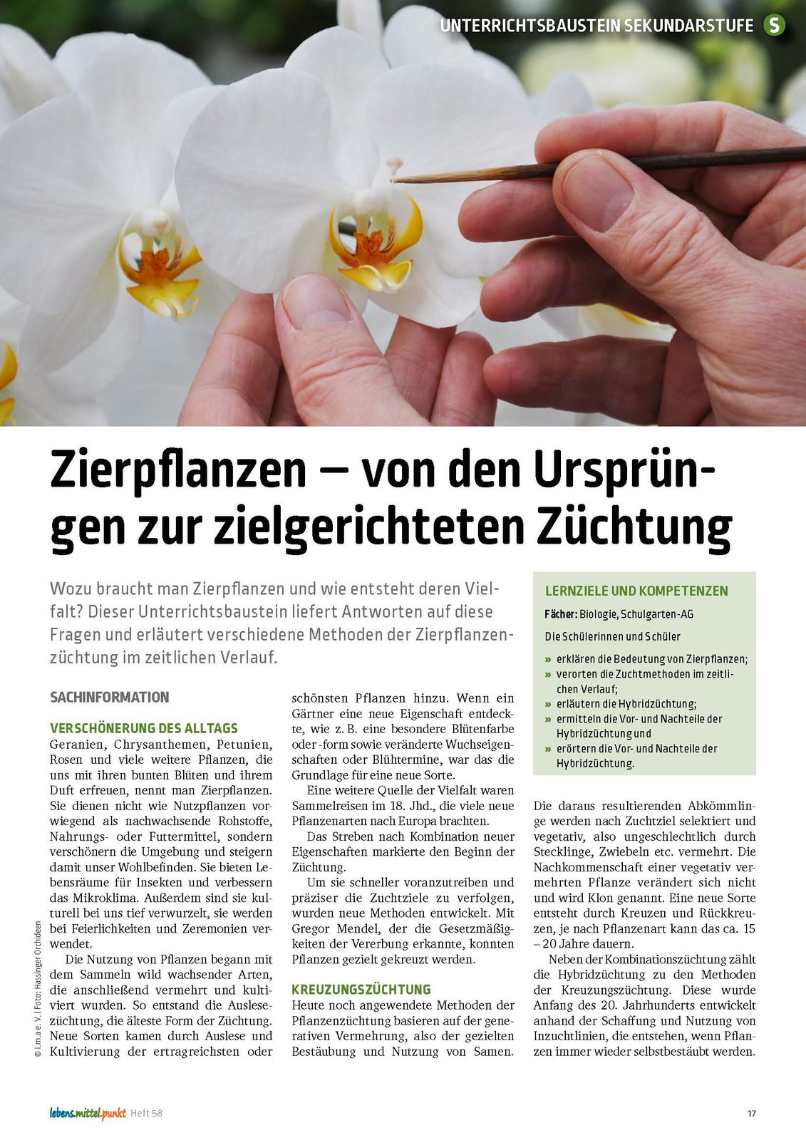 Zierpflanzen - Von den Ursprüngen zur zielgerichteten Züchtung