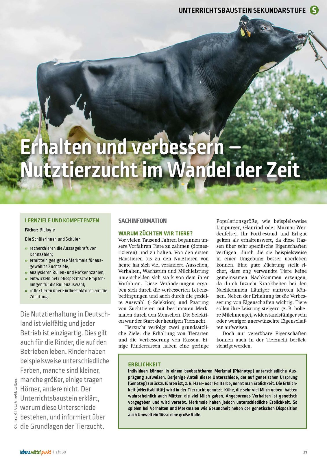 Nutztierzucht im Wandel der Zeit - Erhalten und verbessern